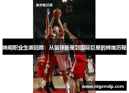 姚明职业生涯回顾：从篮球新星到国际巨星的辉煌历程