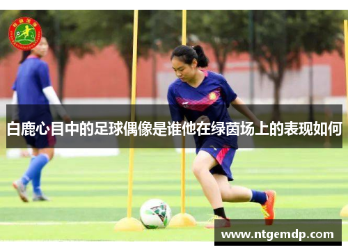 白鹿心目中的足球偶像是谁他在绿茵场上的表现如何
