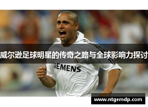 威尔逊足球明星的传奇之路与全球影响力探讨