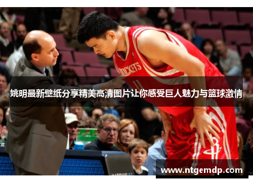 姚明最新壁纸分享精美高清图片让你感受巨人魅力与篮球激情