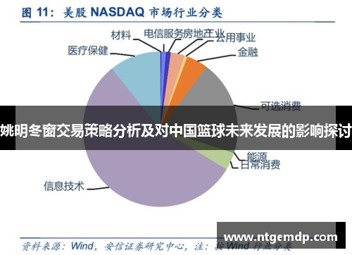姚明冬窗交易策略分析及对中国篮球未来发展的影响探讨